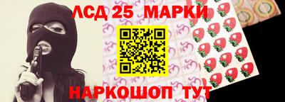 прущие грибы Можга