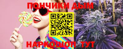 прущие грибы Можга